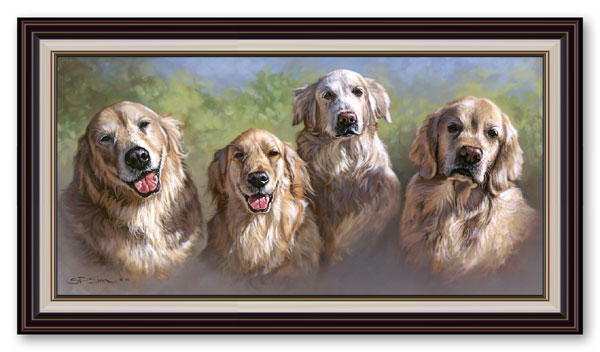 Four Golden Retrievers