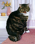 Tabby