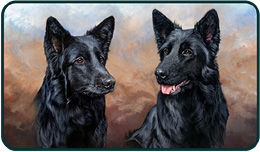 Pet Portraits - Misty and Leah