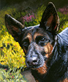 Errol